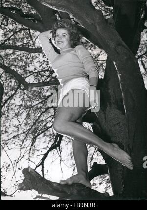 1962 - wir verneigen uns an dieses Mädchen von den Zweigen: zwei Arten von Gliedmaßen hier. Die formschöne Glieder der Baum Liebhaber Marilyn Davies und die Glieder von den hohen Bäumen, in denen sie liebt es, sich zu entfalten. Marilyn ist wie zu Hause in das Holz als vor den Fernsehkameras - aber sie lieber unter freiem Himmel leben die ehemaligen © Keystone Bilder USA/ZUMAPRESS.com/Alamy Live-Nachrichten Stockfoto