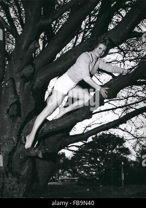 1962 - wir verneigen uns an dieses Mädchen von den Zweigen: zwei Arten von Gliedmaßen hier. Die formschöne Glieder der Baum Liebhaber Marilyn Davis, und die Glieder von den hohen Bäumen, in denen sie liebt es, sich zu entfalten. Marilyn ist wie zu Hause in den Wäldern als vor den Fernsehkameras - aber sie lieber unter freiem Himmel Leben des ersteren. © Keystone Bilder USA/ZUMAPRESS.com/Alamy Live-Nachrichten Stockfoto