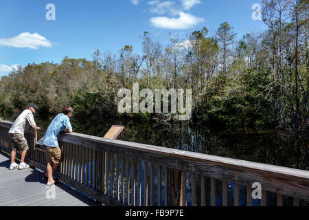Miami Florida, Everglades, Big Cypress National Preserve, Turner River Water Canal, HP Williams Park, Natur, natürliche Landschaft, Zypressen, Promenade, Erwachsene Stockfoto