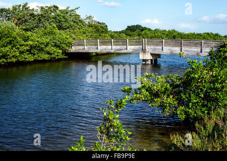 Fort Ft. Myers Beach Florida, Estero Bay Water, Lovers Key Carl E. Johnson State Park, Erholungsgebiet, Wasser, Natur, natürliche Landschaft, Brücke, Promenade, Pfad Stockfoto