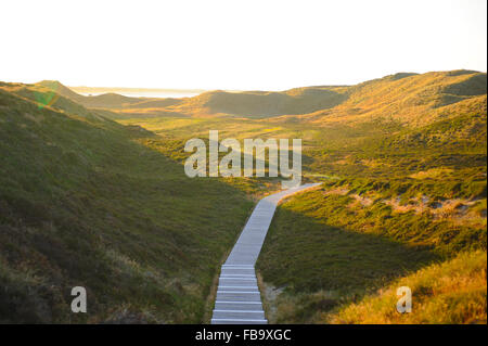 Insel Sylt - Deutschland Stockfoto