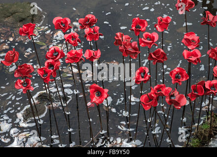 Helle rote Keramik Mohn Skulptur The Wave in Yorkshire Sculpture Park repräsentiert Krieg tot in der Nähe von Barnsley Yorkshire England UK Stockfoto