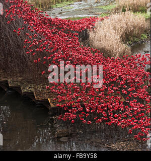 Helle rote Keramik Mohn Skulptur The Wave in Yorkshire Sculpture Park repräsentiert Krieg tot in der Nähe von Barnsley Yorkshire England UK Stockfoto