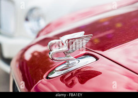 Bentley geflügelte "B" Abzeichen Mütze auf rote Haube, Böblingen, Baden-Württemberg, Deutschland Stockfoto
