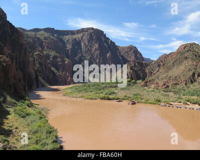 Der Colorado River fließt durch den Boden des Grand Canyon in Arizona Stockfoto