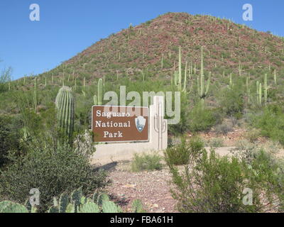 Eingang zum Saguaro National Park, Arizona Stockfoto