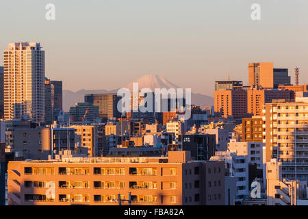Japan, Honshu, Tokio, Skyline der Stadt und Berg Fuji Stockfoto