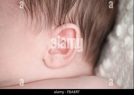 Close-up Schuss des Ohres ein neugeborenes Baby Stockfoto