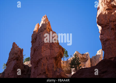 Touristischer Aussichtspunkt und Geländer im Bryce Canyon, Utah Stockfoto