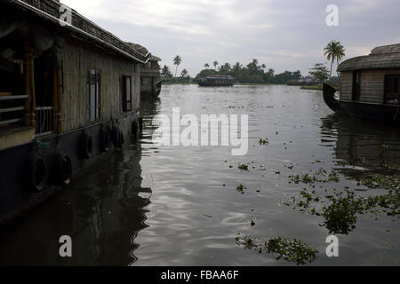 Hausboote vor Anker in den Backwaters von Allepuzha (Alleppey), Kerala, Indien Stockfoto