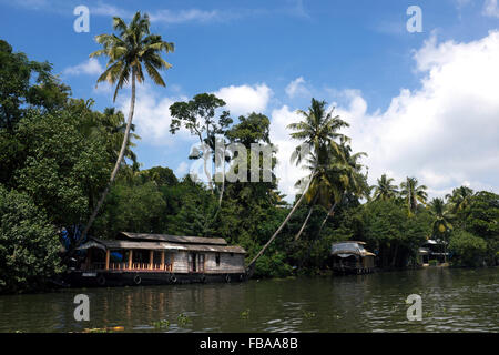 Hausboote vor Anker in den Backwaters von Allepuzha (Alleppey), Kerala, Indien Stockfoto