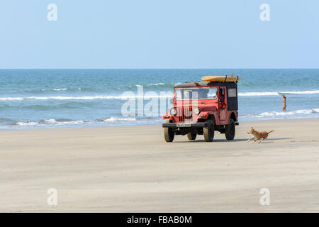 Ein Strand-Hund läuft nach dem Surf Rescue Team Fahrzeug am Mandrem Beach, North Goa, Indien Stockfoto