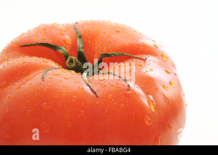 Frische und pralle Beefsteak Tomaten Stockfoto