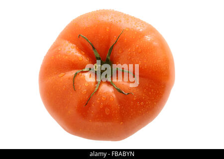 Pralle beefsteak Tomaten von oben nach unten Blick auf weißem Hintergrund Stockfoto