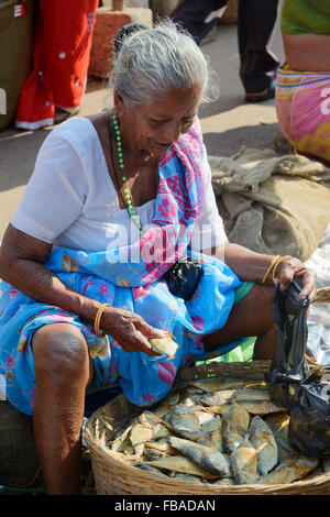 Indische Frau verkaufen Trockenfisch in Mapusas lebhaften Freitagsmarkt, Mapusa, North Goa, Indien Stockfoto