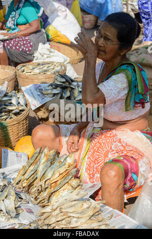 Indische Frau verkaufen Trockenfisch in Mapusas lebhaften Freitagsmarkt, Mapusa, North Goa, Indien Stockfoto