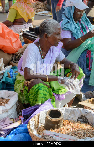 Indische Frau verkaufen Trockenfisch in Mapusas lebhaften Freitagsmarkt, Mapusa, North Goa, Indien Stockfoto