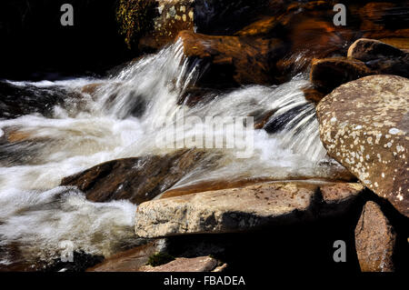 Schöne Heide Stream mit Sonnenlicht auf den klaren schnellen fließenden Gewässern. Stockfoto