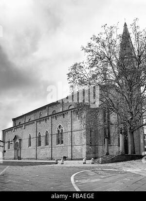 San Donato Kathedrale Arezzo Italien Stockfoto