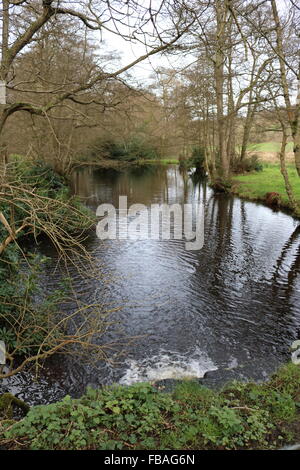 Der Fluß Tillingbourne in Surrey Hills in der Nähe von Freitag Straße Stockfoto