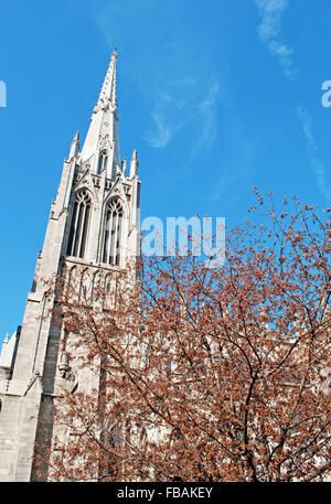 New York, USA: Blick auf die Kathedrale von St. Patrick, einem Neo-gotischen Stil Römisch-katholische Kathedrale Kirche, auf der östlichen Seite der Fifth Avenue Stockfoto