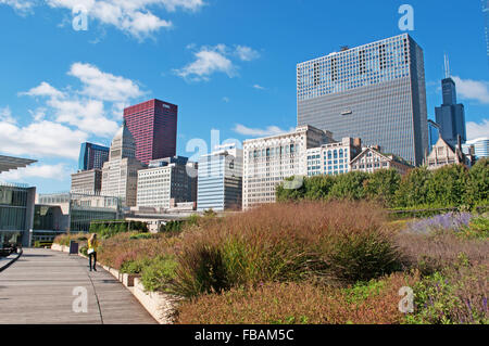 Vereinigte Staaten von Amerika, USA: Skyline von Chicago mit seinen Wolkenkratzern vom Millennium Park gesehen, berühmten öffentlichen Park in der Schleife Community Bereich Stockfoto