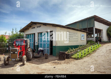 Nuwara Eliya Pedro Teeplantage Tee Fabrik, Sri Lanka, Asien Stockfoto