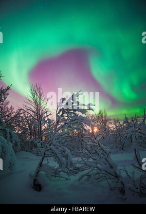 Aurora Borealis über Tromsø, Nordnorwegen Stockfoto