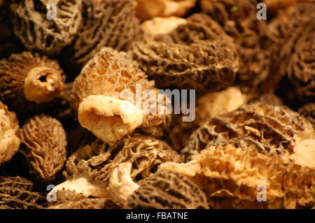 Morcheln in Pike Place Market Stockfoto