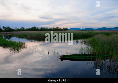 Sonnenuntergang. Tablas de Daimiel National Park in der Provinz Ciudad Real, Castilla La Mancha, Spanien Stockfoto