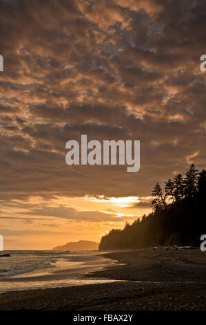 BC00427-00... BRITISH COLUMBIA - Abend am Tsocowis Creek Camp, ein beliebter Campingplatz entlang der West Coast Trail. Stockfoto