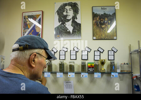 Kauf von Legal Marihuana in einem Geschäft in Mancos Colorado USA Stockfoto