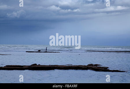 Santa Cruz Cabralia Strand. Bahia. Brazilien Stockfoto