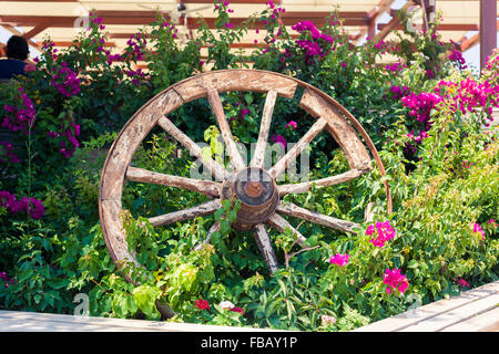 Alten gebrochenen Wagenrad im Blumenbeet Stockfoto