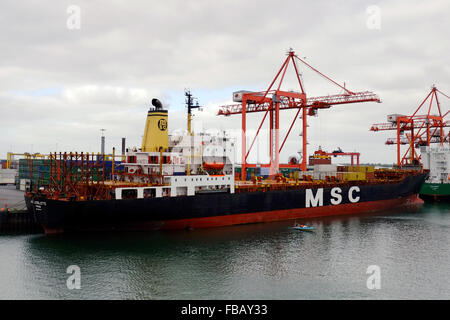 MSC Lieselotte Frachtschiff vor Anker im Hafen von Dublin. Stockfoto