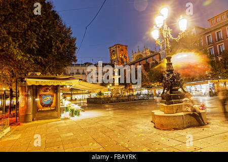 Bib Rambla Square in Granada in der Nacht in der Nähe der Kathedrale mit dem Licht der Straßenlaternen, Brunnen und der Blume-stall Stockfoto