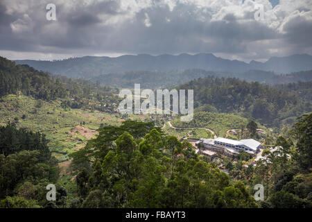 grüne Landschaft und Tee-Plantage in Ella, Badulla Bezirk, Uva Provinz, Southern Highlands, Sri Lanka, Asien Stockfoto
