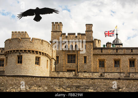 Ein Rabe über den Tower of London, London, UK. Stockfoto