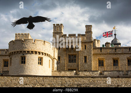 Ein Rabe über den Tower of London, London, UK. Stockfoto