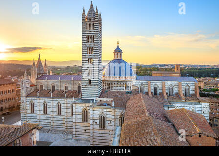 Siena Sonnenuntergang Panorama Luftbild. Dom Dom-Wahrzeichen. Toskana, Italien. Stockfoto