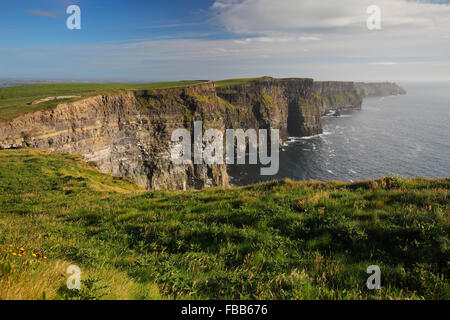 Cliffs of Moher nahe Doolin und Liscannor, County Clare, Irland Stockfoto