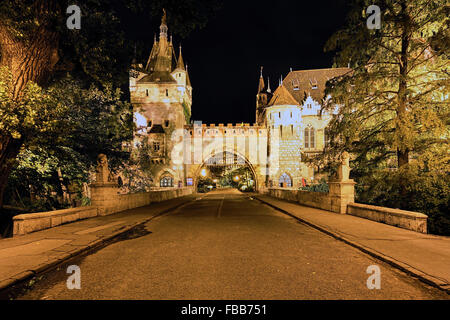 Niedrigen Winkel Blick auf ein Burgtor leuchtet in der Nacht, Burg Vajdahunyad, Budapest, Ungarn Stockfoto