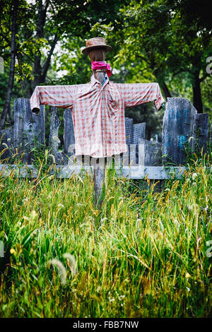 Niedrigen Winkel Ansicht der Vogelscheuche in einem Garten, Waterloo Dorf Stanhope, New Jersey Stockfoto