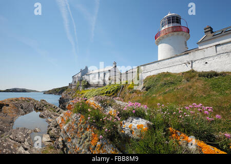 Leuchtturm an der Crookhaven Bay auf Mizen Halbinsel, County Cork, Irland Stockfoto