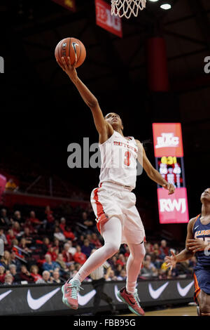 Piscataway, New Jersey, USA. 13. Januar 2016. Rutgers Guard, TYLER SCAIFE (3), fährt in den Korb gegen Illinois in einem Spiel bei der Rutgers Athletic Center in Piscataway, New Jersey. © Joel Plummer/ZUMA Draht/Alamy Live-Nachrichten Stockfoto