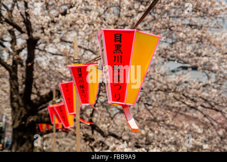 Kirschblüten Meguro Fluss entlang Stockfoto