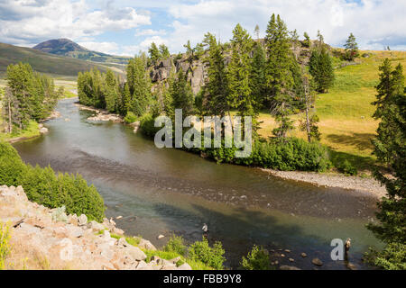 Fliegenfischer arbeiten Flusses Lamar im Yellowstone-Nationalpark Stockfoto