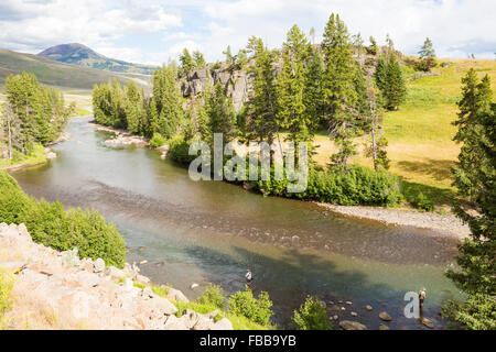 Fliegenfischer arbeiten Flusses Lamar im Yellowstone-Nationalpark Stockfoto