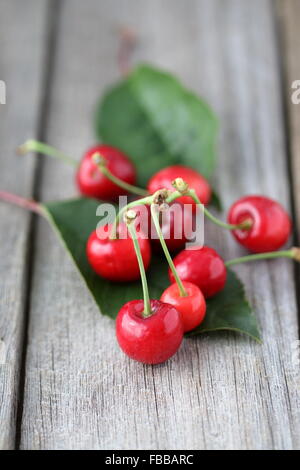 Nahaufnahme von Prunus Avium Kirschen oder bekannt als Lapin Kirschen auf Holzbrett Stockfoto