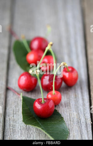 Nahaufnahme von Prunus Avium Kirschen oder bekannt als Lapin Kirschen auf Holzbrett Stockfoto